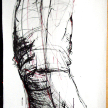 Acr_07